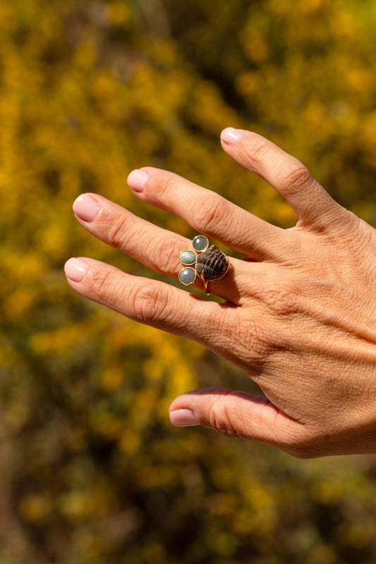 Trilobite with Jasper