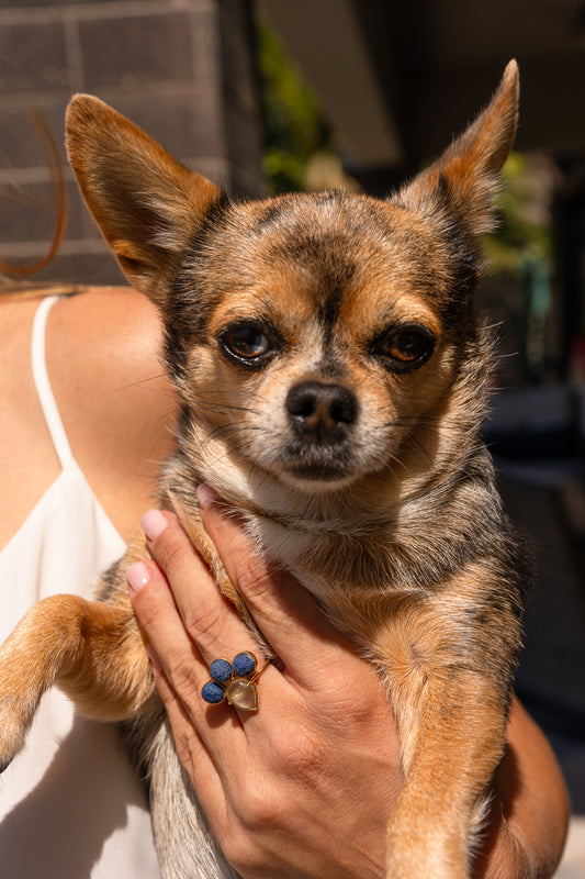 Quartz with rutile and Azurite