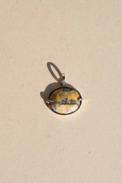 Bumblebee Jasper