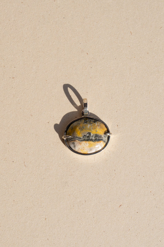 Bumblebee Jasper