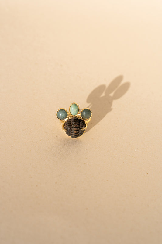 Trilobite with Jasper