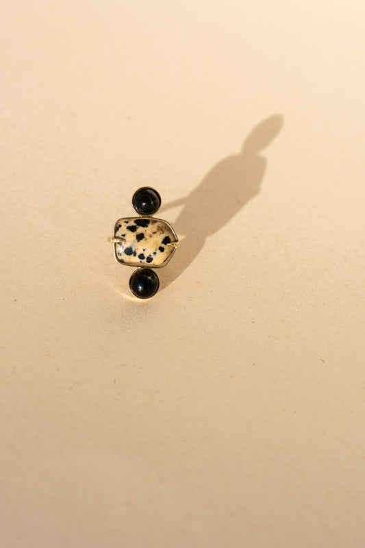 Dalmatian Jasper and Black Star