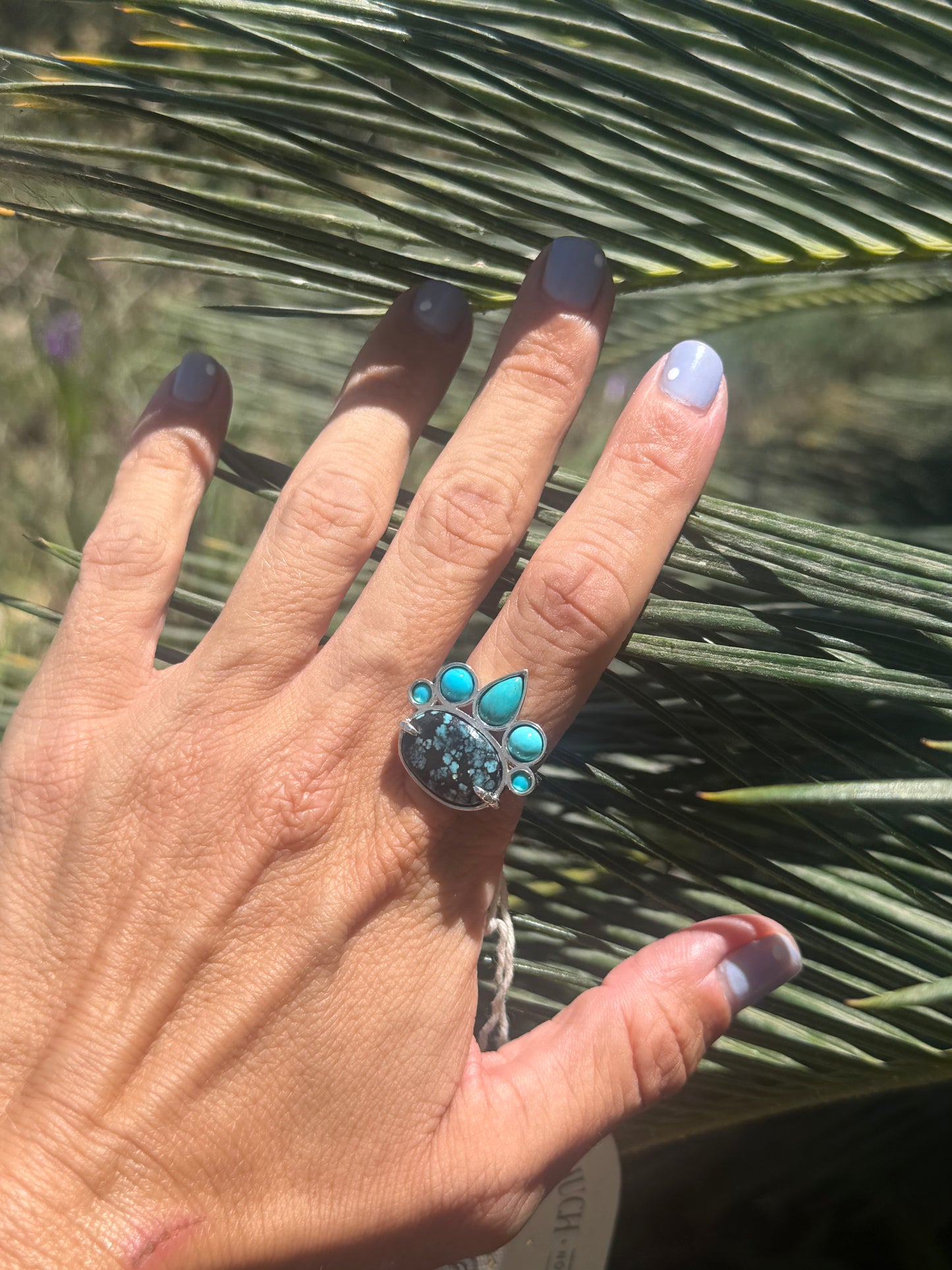 Dark Turquoise with very blue Crown